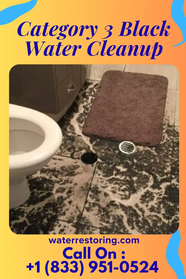 Category 3 Black Water Cleanup in Uhrichsville, OH