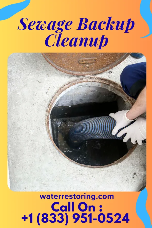 Sewage Backup Cleanup in Uhrichsville, OH